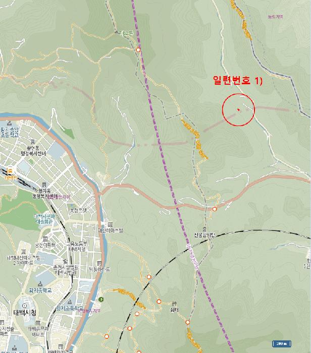 강원특별자치도 정선군 신동읍 조동리 211-1 전 경매 사진 26