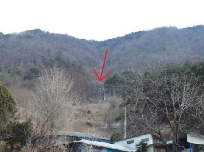 강원특별자치도 정선군 남면 무릉리 601-4 임야 경매 사진 11