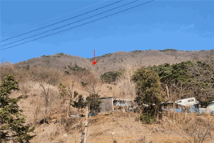 강원특별자치도 정선군 남면 무릉리 601-4 임야 경매 사진 3