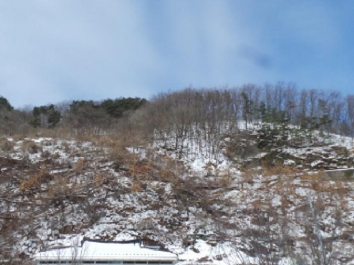 강원특별자치도 정선군 여량면 여량리 400-20 전 경매 사진 9