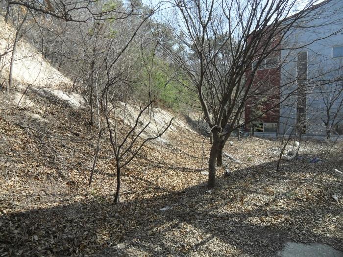 충청남도 당진시 송악읍 청금리 312-7 공장 경매 사진 44