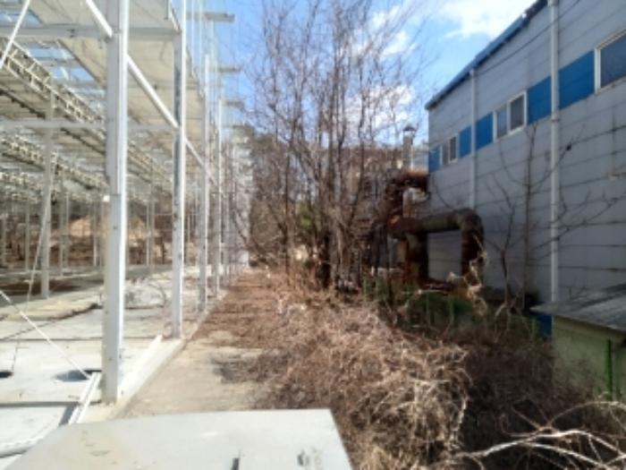 충청남도 당진시 송악읍 청금리 312-7 공장 경매 사진 80