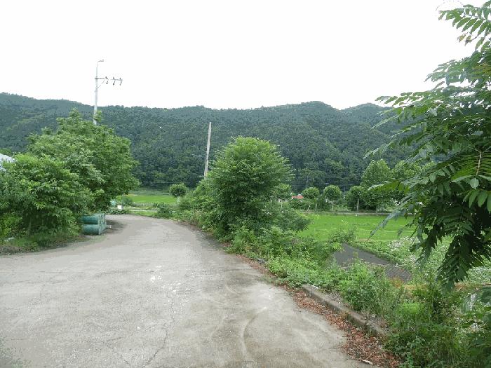 충청북도 청주시 상당구 미원면 쌍이리 256 공장 경매 사진 9