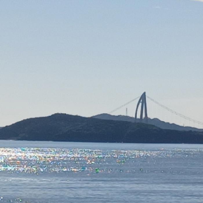 전북특별자치도 군산시 옥도면 신시도리 산75 임야 경매 사진 5