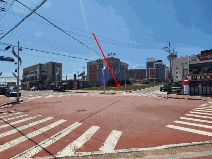 충청남도 태안군 소원면 모항리 1403 대지 경매 사진 2