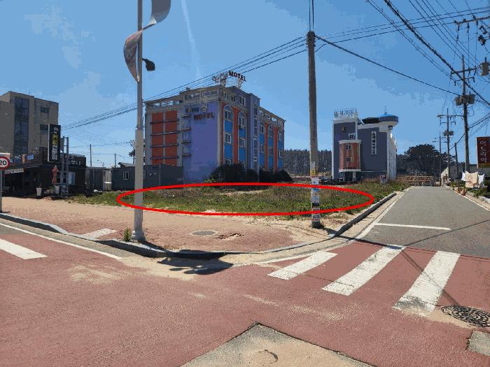 충청남도 태안군 소원면 모항리 1403 대지 경매 사진 4