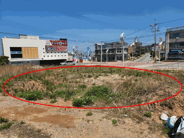 충청남도 태안군 소원면 모항리 1403 대지 경매 사진 8