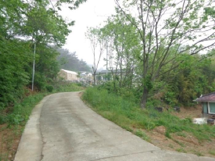 충청남도 태안군 태안읍 산후리 343-9 임야 경매 사진 18