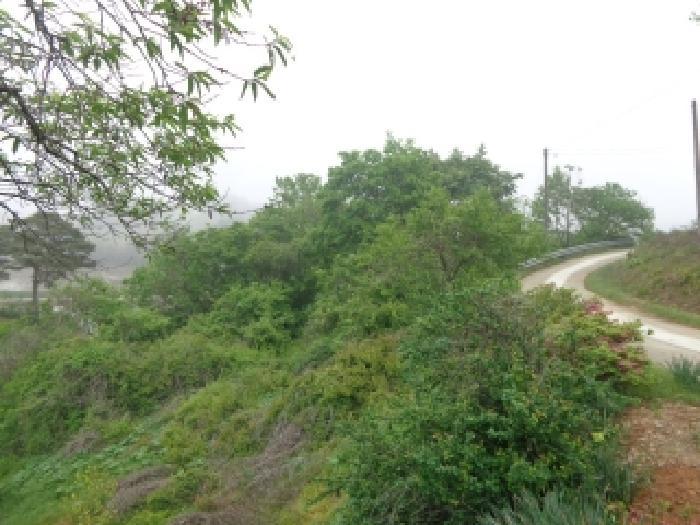 충청남도 태안군 태안읍 산후리 343-9 임야 경매 사진 25