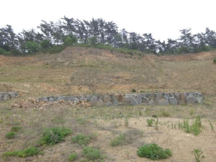 충청남도 태안군 태안읍 산후리 343-9 임야 경매 사진 29