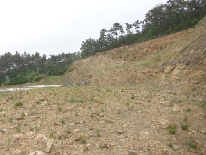 충청남도 태안군 태안읍 산후리 343-9 임야 경매 사진 31