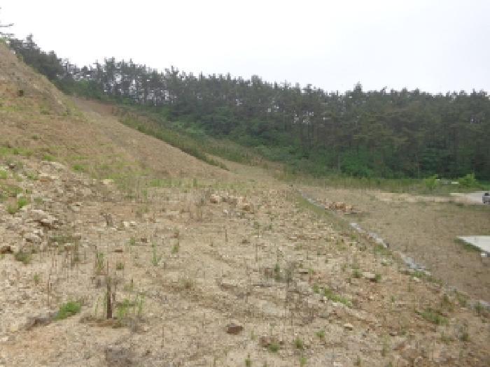 충청남도 태안군 태안읍 산후리 343-9 임야 경매 사진 32
