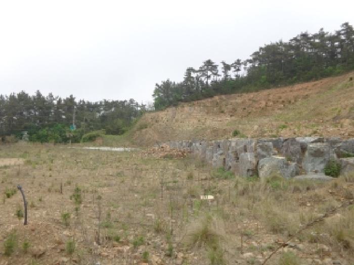 충청남도 태안군 원북면 황촌리 204-26 임야 경매 사진 30