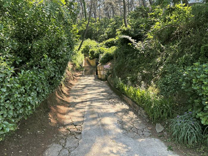 충청남도 태안군 소원면 모항리 1324-3 임야 경매 사진 4