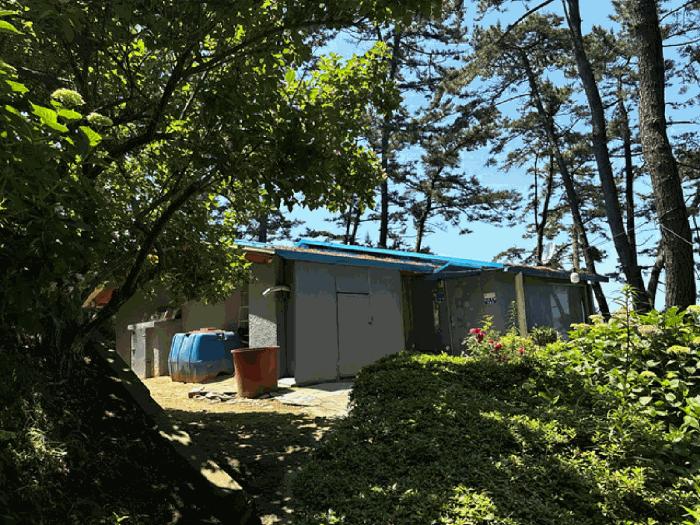 충청남도 태안군 소원면 모항리 1324-3 임야 경매 사진 5