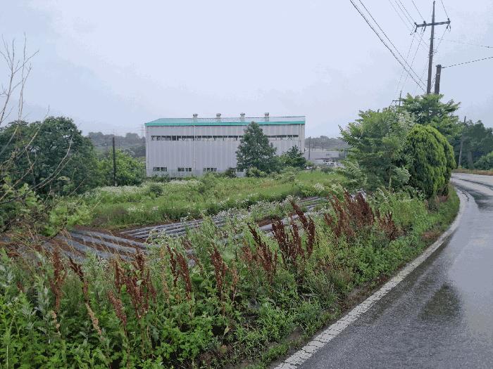 충청남도 당진시 송악읍 부곡리 354-4 답 경매 사진 1