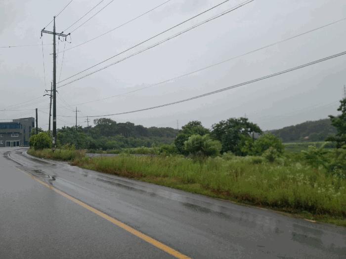 충청남도 당진시 송악읍 부곡리 354-4 답 경매 사진 2