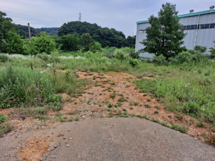 충청남도 당진시 송악읍 부곡리 354-4 답 경매 사진 5