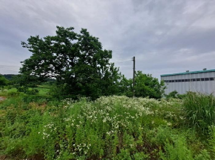충청남도 당진시 송악읍 부곡리 354-4 답 경매 사진 9