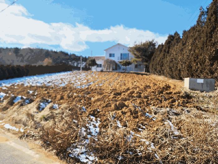 충청남도 태안군 남면 몽산리 286-3 주택 경매 사진 17
