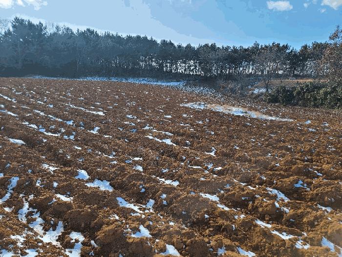 충청남도 태안군 남면 몽산리 286-3 주택 경매 사진 4