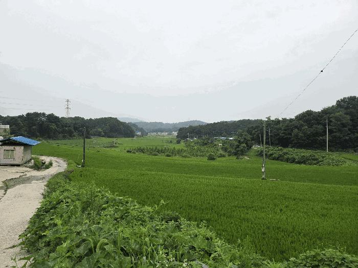 충청북도 청주시 답