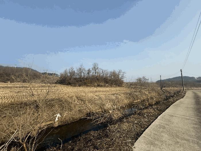 충청남도 당진시 석문면 삼봉리 1081-38 임야 경매 사진 1
