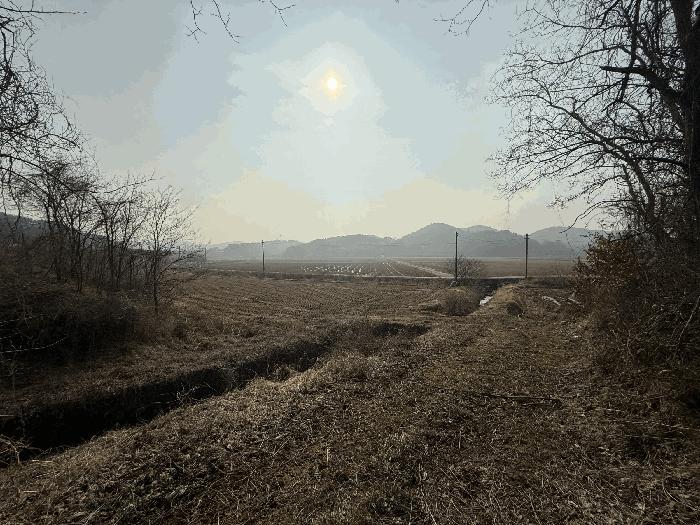 충청남도 당진시 석문면 삼봉리 1081-38 임야 경매 사진 5