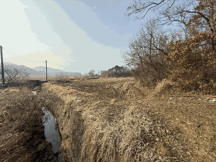 충청남도 당진시 석문면 삼봉리 1081-38 임야 경매 사진 6