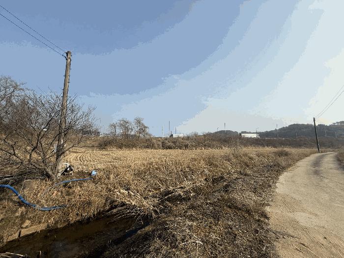 충청남도 당진시 석문면 삼봉리 1081-38 임야 경매 사진 8