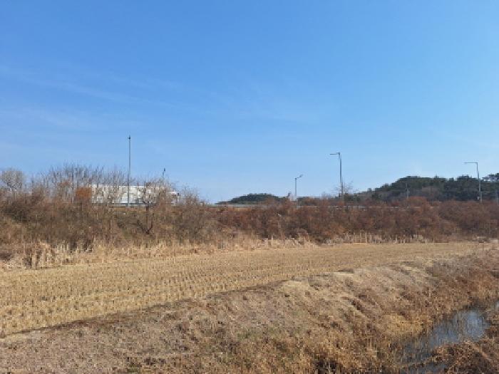 충청남도 당진시 석문면 삼봉리 1081-38 임야 경매 사진 9