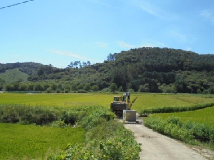 충청북도 청주시 답