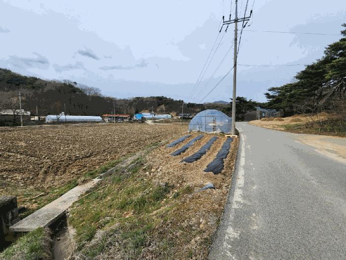 충청남도 서산시 운산면 와우리 산60 임야 경매 사진 1