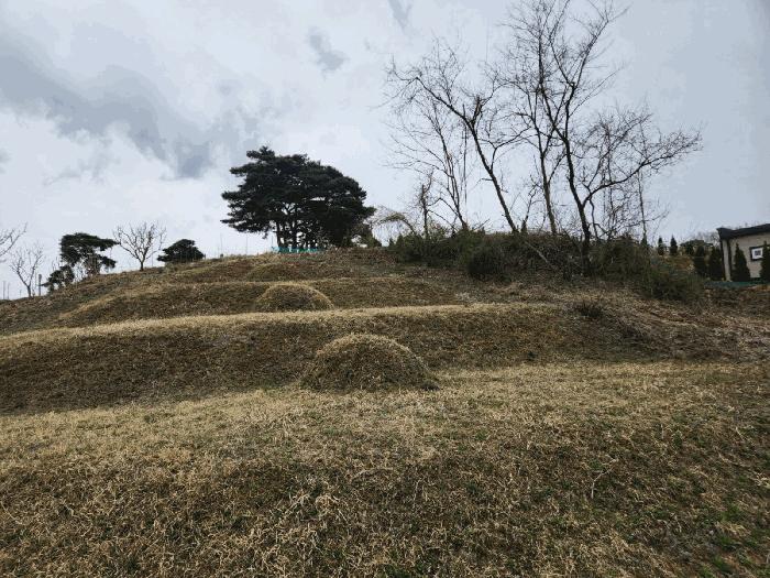 충청남도 서산시 운산면 와우리 산60 임야 경매 사진 11