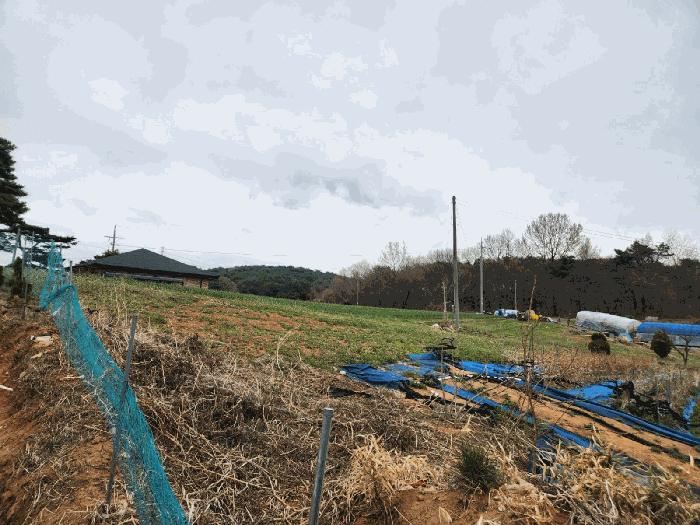 충청남도 서산시 운산면 와우리 산60 임야 경매 사진 15