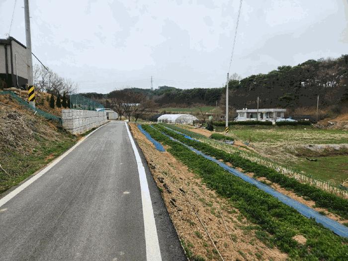 충청남도 서산시 운산면 와우리 산60 임야 경매 사진 2