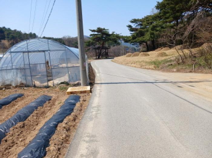 충청남도 서산시 운산면 와우리 산60 임야 경매 사진 19
