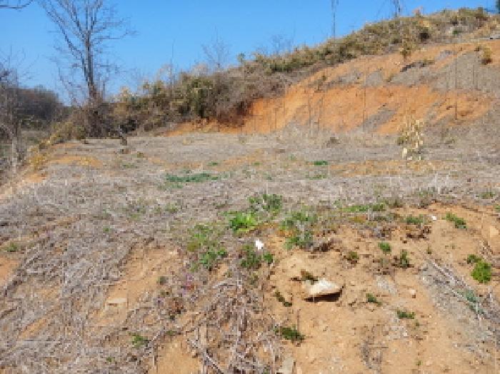 충청남도 서산시 운산면 와우리 산60 임야 경매 사진 25