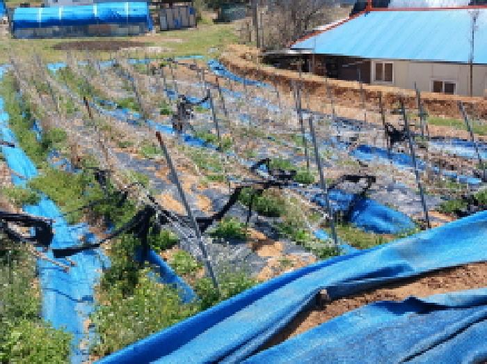 충청남도 서산시 운산면 와우리 산60 임야 경매 사진 26