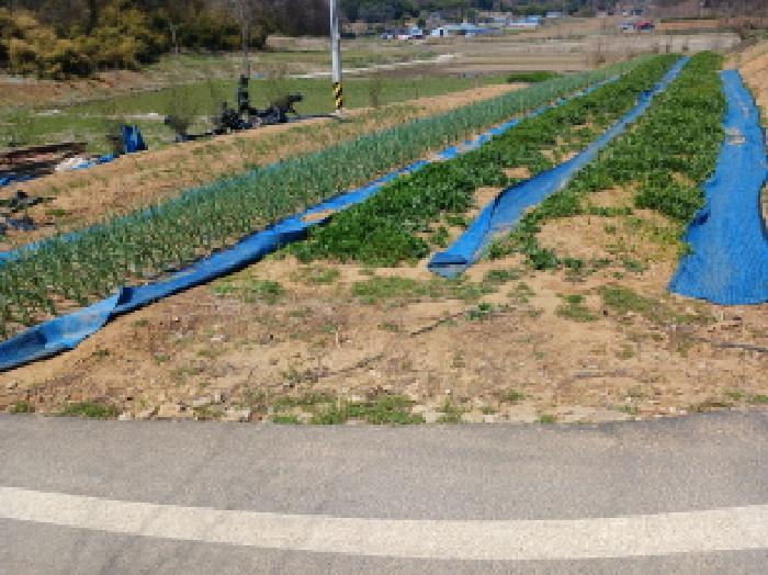 충청남도 서산시 운산면 와우리 산60 임야 경매 사진 31