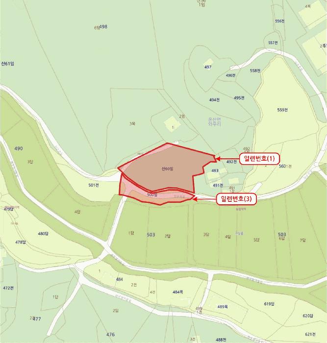 충청남도 서산시 운산면 와우리 산60 임야 경매 사진 39