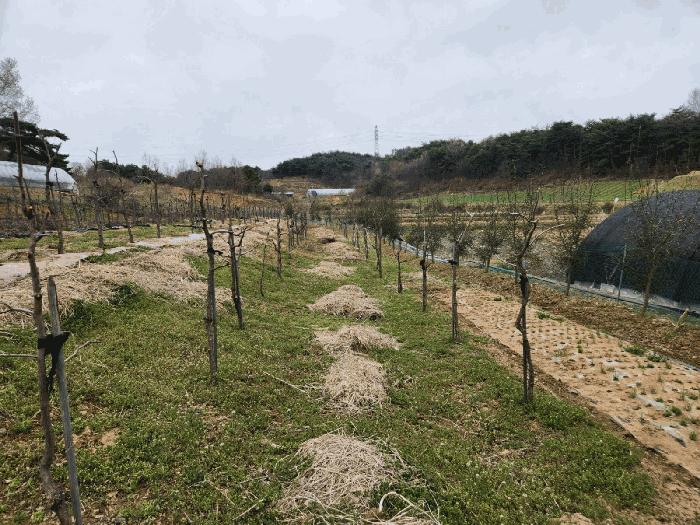 충청남도 서산시 운산면 와우리 산60 임야 경매 사진 5