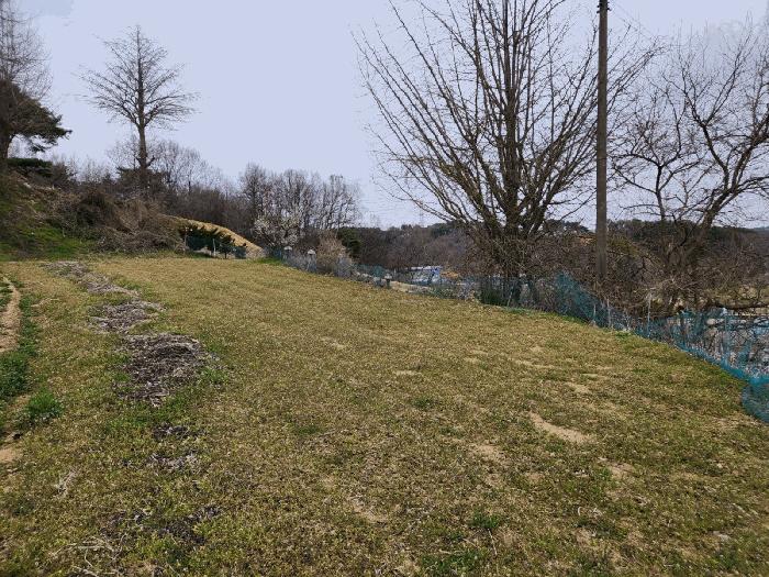충청남도 서산시 운산면 와우리 산60 임야 경매 사진 6