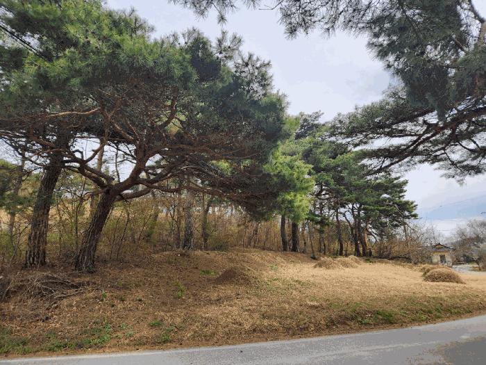 충청남도 서산시 운산면 와우리 402 전 경매 사진 17