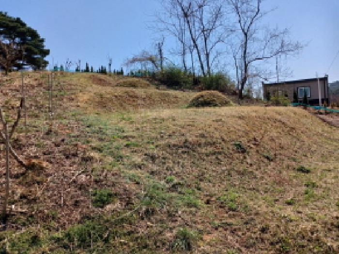 충청남도 서산시 운산면 와우리 402 전 경매 사진 27