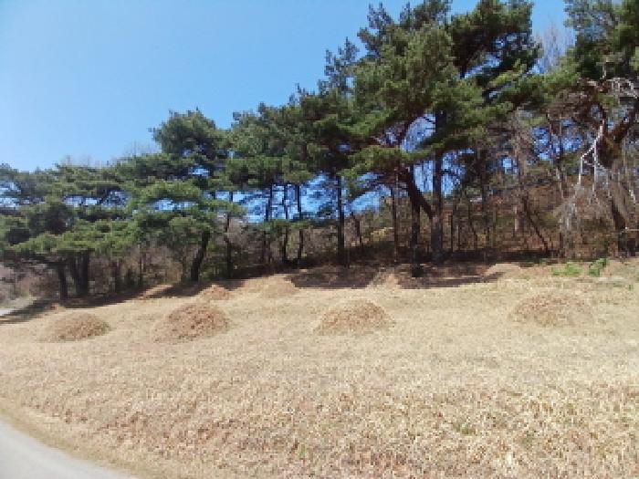 충청남도 서산시 운산면 와우리 402 전 경매 사진 35