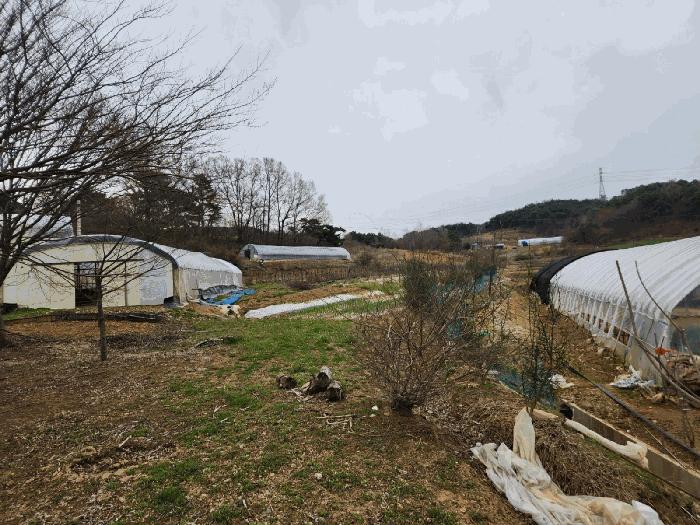 충청남도 서산시 운산면 와우리 668-2 임야 경매 사진 9