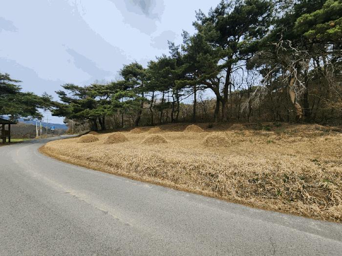 충청남도 서산시 운산면 와우리 668-2 임야 경매 사진 10