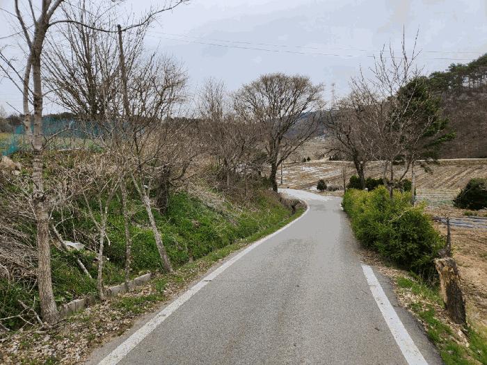 충청남도 서산시 운산면 와우리 668-2 임야 경매 사진 3