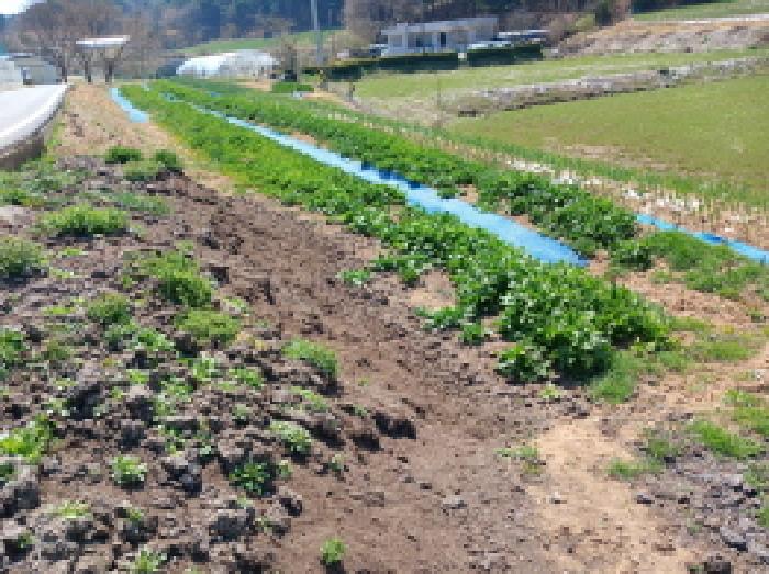 충청남도 서산시 운산면 와우리 668-2 임야 경매 사진 30